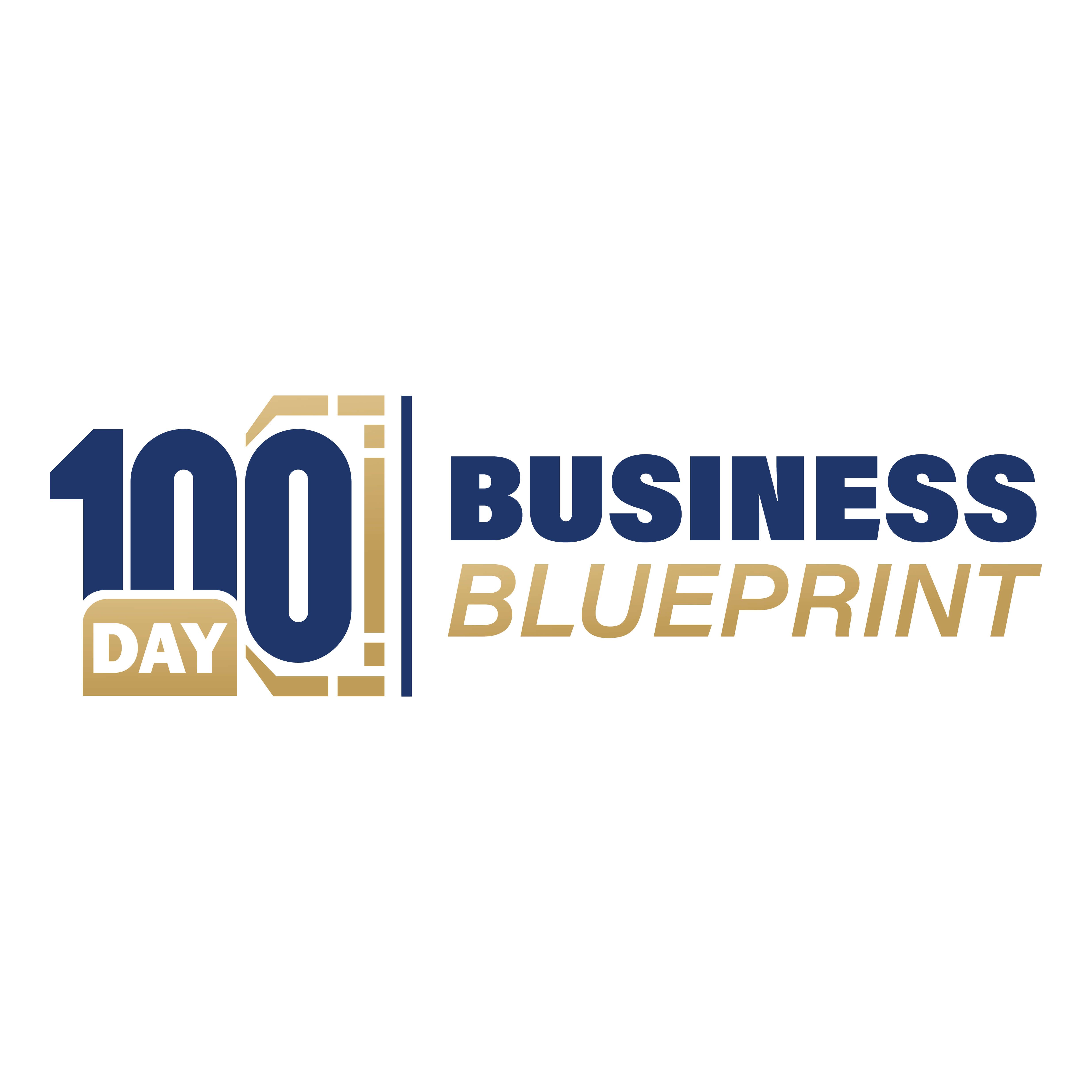 100 Day Business Blueprint