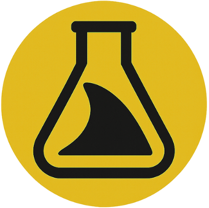 Wireshark Labs