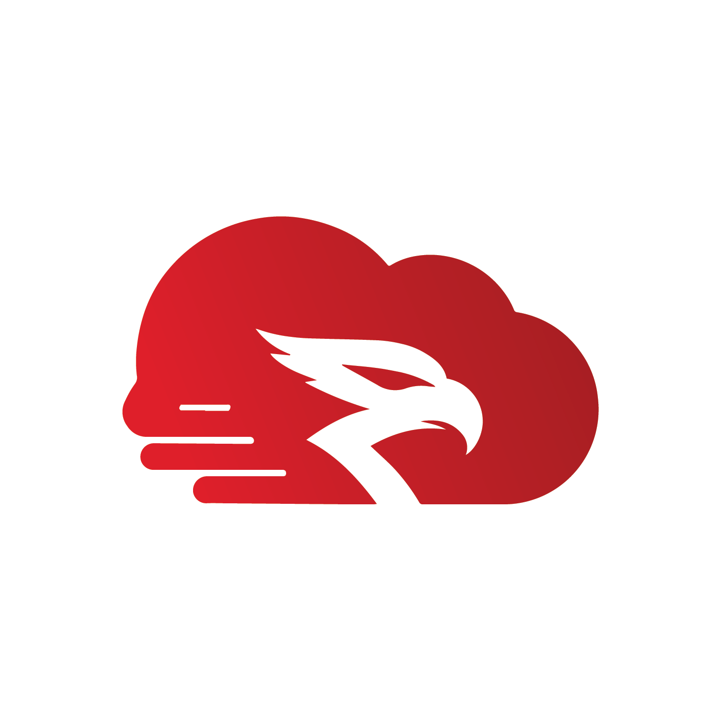 Cloud Raptor