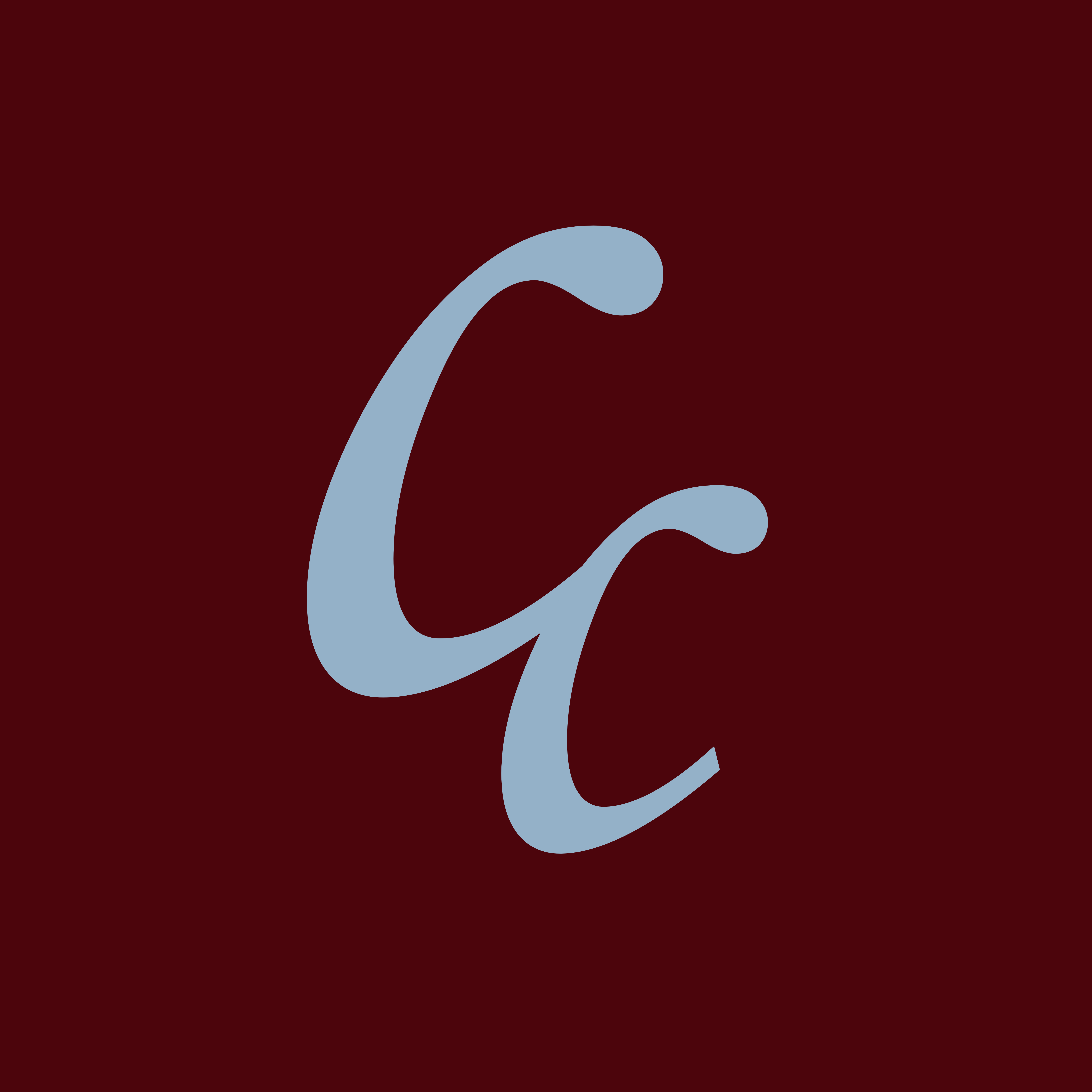 Camila Cinelli - Brand Strategist