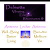 Delmotte Vibrating Energies Résonnantes Ireland